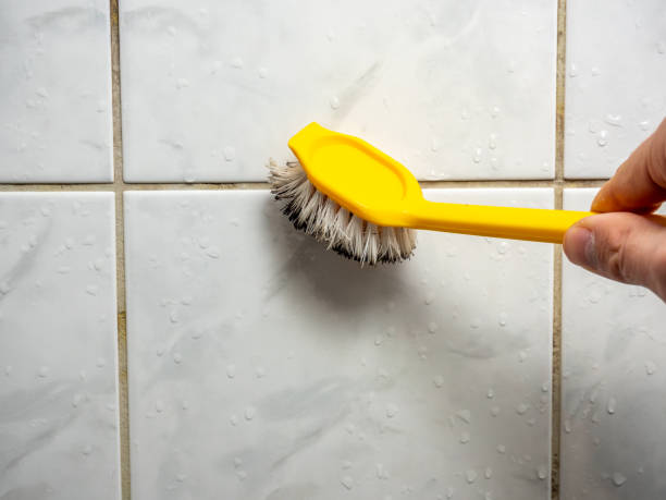 Best White Mold Remediation in Ilchester, MD